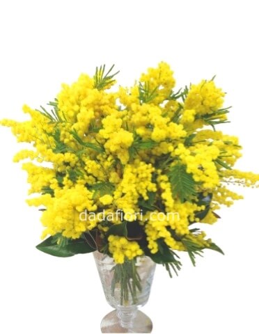 Bouquet di mimosa con prezzo a scelta.
