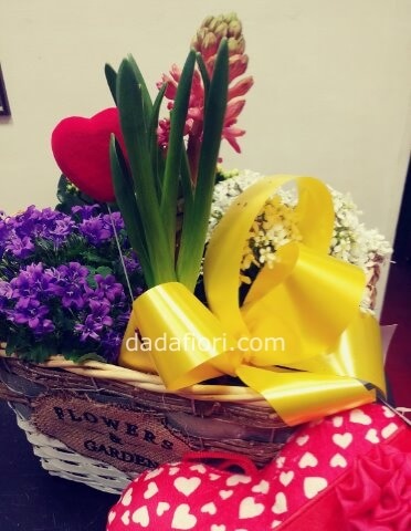 cestino piante mix LOVE