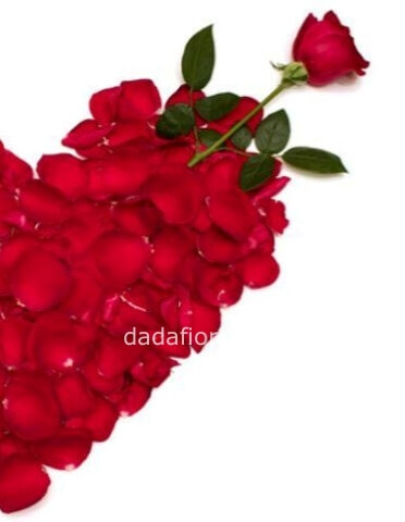 Rosa Stabilizzata con gambo