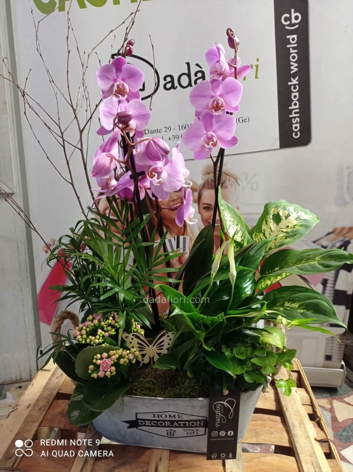 Composizione fiori finti con orchidee - Arredamento e Casalinghi In vendita  a Padova